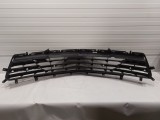 Lower Grille